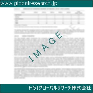 グローバルリサーチ調査資料のイメージ